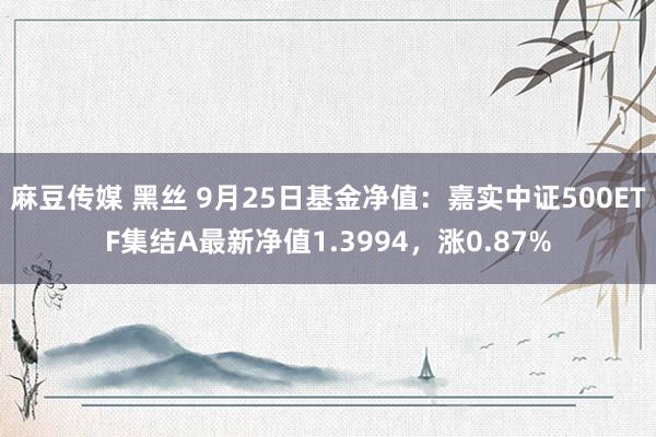 麻豆传媒 黑丝 9月25日基金净值：嘉实中证500ETF集结A最新净值1.3994，涨0.87%