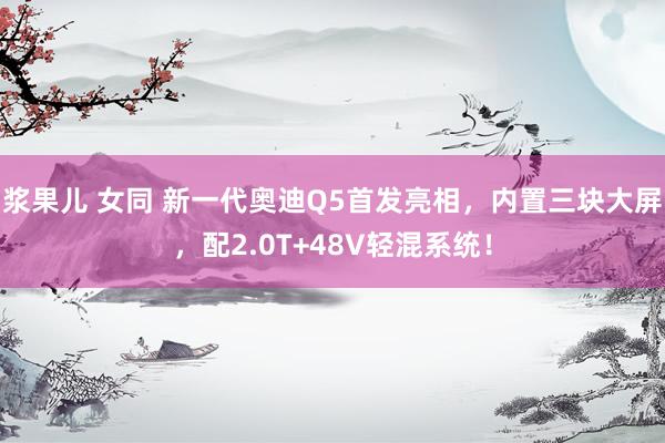 浆果儿 女同 新一代奥迪Q5首发亮相，内置三块大屏，配2.0T+48V轻混系统！