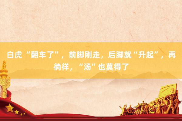 白虎 “翻车了”，前脚刚走，后脚就“升起”，再徜徉，“汤”也莫得了