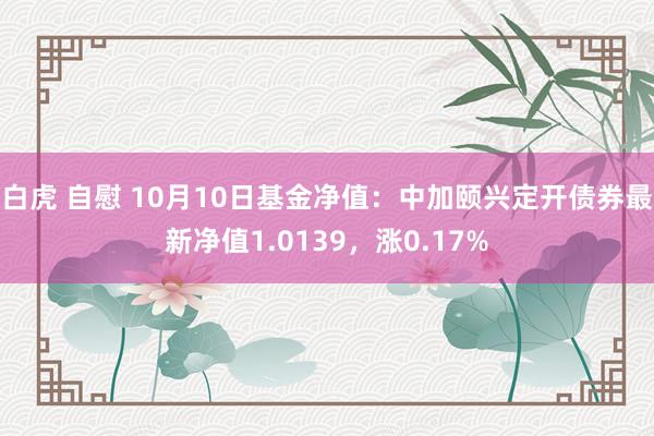 白虎 自慰 10月10日基金净值：中加颐兴定开债券最新净值1.0139，涨0.17%