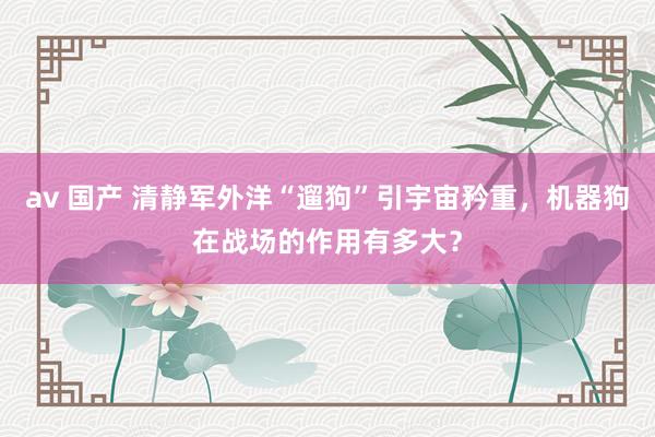 av 国产 清静军外洋“遛狗”引宇宙矜重，机器狗在战场的作用有多大？