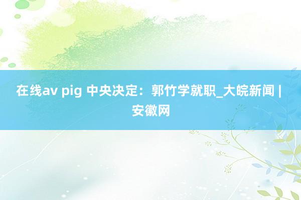 在线av pig 中央决定：郭竹学就职_大皖新闻 | 安徽网