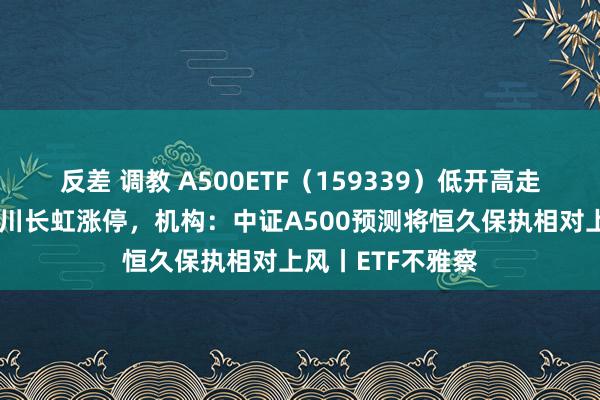 反差 调教 A500ETF（159339）低开高走，上海电气、四川长虹涨停，机构：中证A500预测将恒久保执相对上风丨ETF不雅察