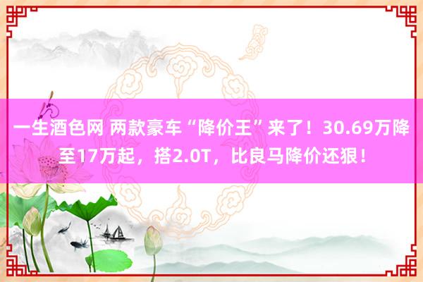 一生酒色网 两款豪车“降价王”来了！30.69万降至17万起，搭2.0T，比良马降价还狠！