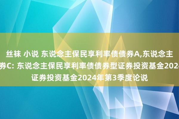 丝袜 小说 东说念主保民享利率债债券A,东说念主保民享利率债债券C: 东说念主保民享利率债债券型证券投资基金2024年第3季度论说