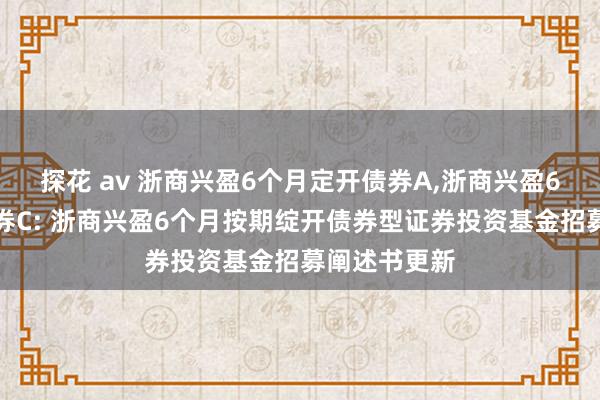 探花 av 浙商兴盈6个月定开债券A,浙商兴盈6个月定开债券C: 浙商兴盈6个月按期绽开债券型证券投资基金招募阐述书更新