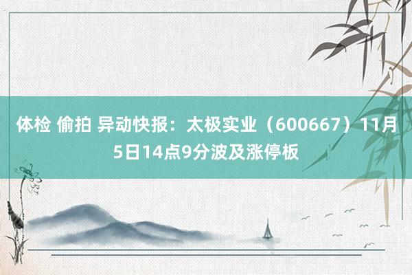 体检 偷拍 异动快报：太极实业（600667）11月5日14点9分波及涨停板