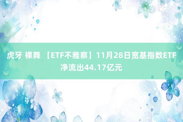 虎牙 裸舞 【ETF不雅察】11月28日宽基指数ETF净流出44.17亿元