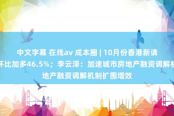 中文字幕 在线av 成本圈 | 10月份香港新请求贷款个案环比加多46.5%；李云泽：加速城市房地产融资调解机制扩围增效