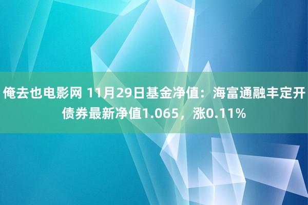俺去也电影网 11月29日基金净值：海富通融丰定开债券最新净值1.065，涨0.11%
