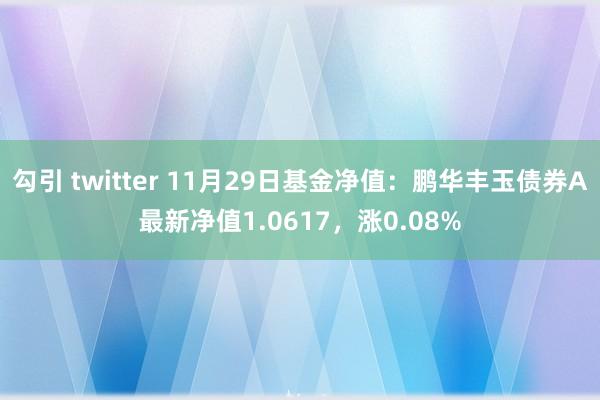 勾引 twitter 11月29日基金净值：鹏华丰玉债券A最新净值1.0617，涨0.08%