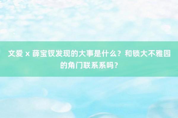 文爱 x 薛宝钗发现的大事是什么？和锁大不雅园的角门联系系吗？