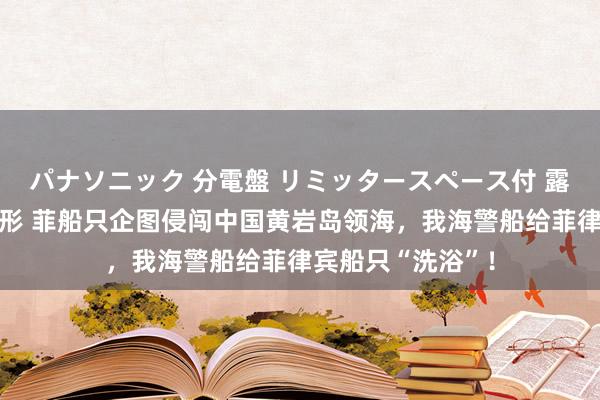 パナソニック 分電盤 リミッタースペース付 露出・半埋込両用形 菲船只企图侵闯中国黄岩岛领海，我海警船给菲律宾船只“洗浴”！