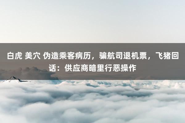 白虎 美穴 伪造乘客病历，骗航司退机票，飞猪回话：供应商暗里行恶操作