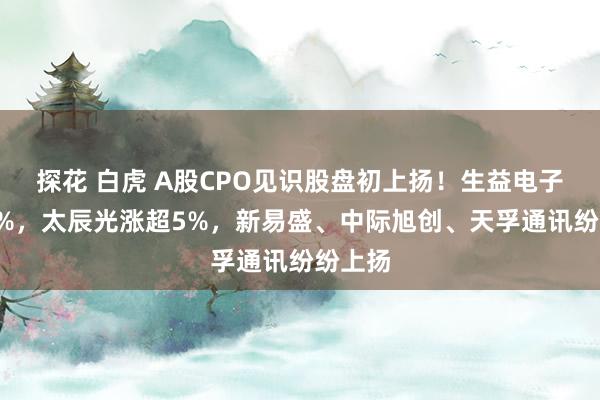 探花 白虎 A股CPO见识股盘初上扬！生益电子涨超9%，太辰光涨超5%，新易盛、中际旭创、天孚通讯纷纷上扬