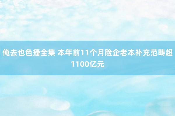 俺去也色播全集 本年前11个月险企老本补充范畴超1100亿元