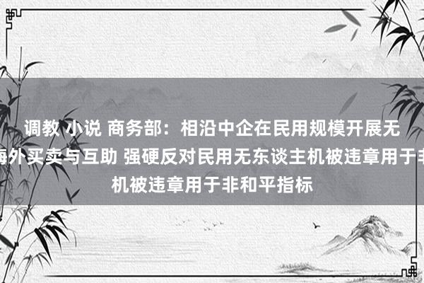 调教 小说 商务部：相沿中企在民用规模开展无东谈主机海外买卖与互助 强硬反对民用无东谈主机被违章用于非和平指标