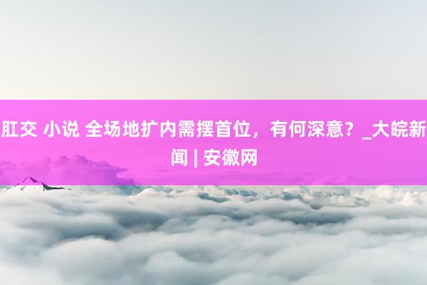 肛交 小说 全场地扩内需摆首位，有何深意？_大皖新闻 | 安徽网