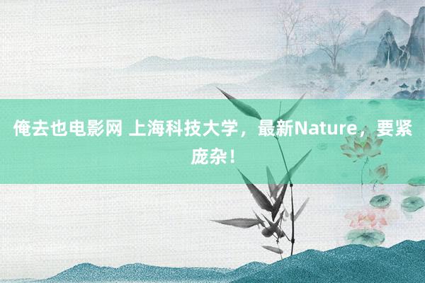 俺去也电影网 上海科技大学，最新Nature，要紧庞杂！