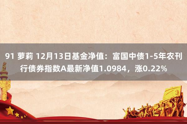 91 萝莉 12月13日基金净值：富国中债1-5年农刊行债券指数A最新净值1.0984，涨0.22%