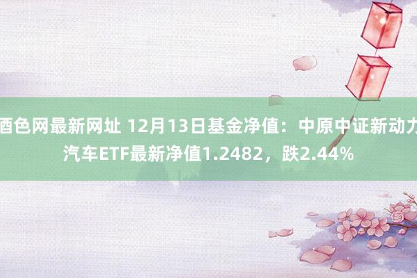 酒色网最新网址 12月13日基金净值：中原中证新动力汽车ETF最新净值1.2482，跌2.44%