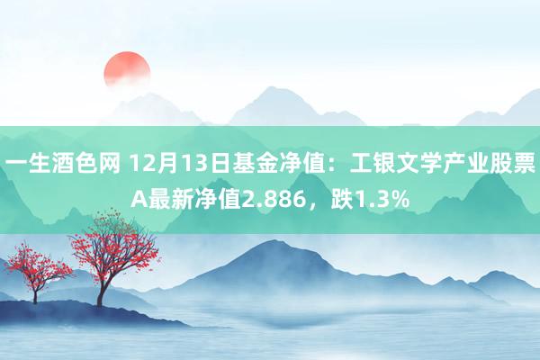 一生酒色网 12月13日基金净值：工银文学产业股票A最新净值2.886，跌1.3%