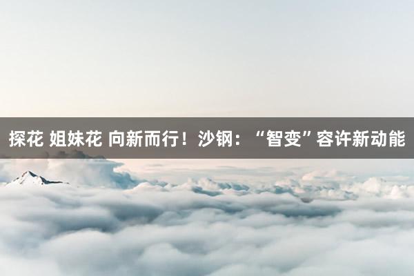 探花 姐妹花 向新而行！沙钢：“智变”容许新动能