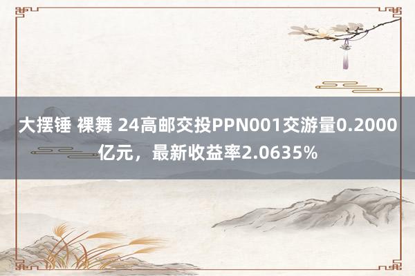 大摆锤 裸舞 24高邮交投PPN001交游量0.2000亿元，最新收益率2.0635%