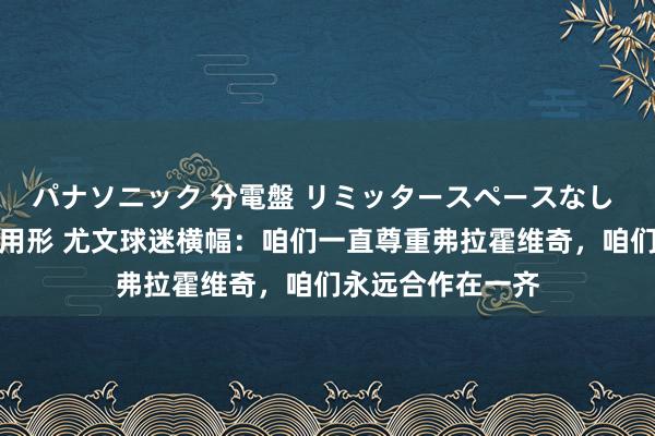 パナソニック 分電盤 リミッタースペースなし 露出・半埋込両用形 尤文球迷横幅：咱们一直尊重弗拉霍维奇，咱们永远合作在一齐