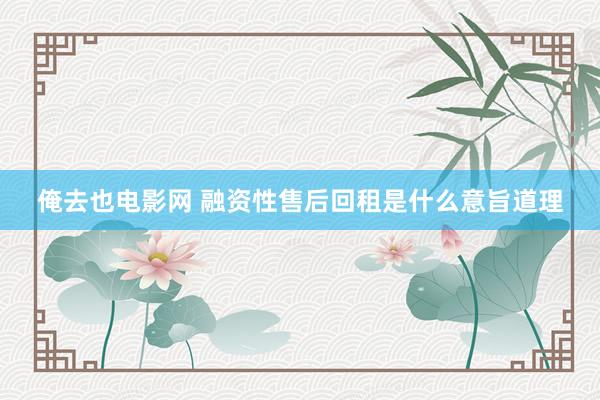俺去也电影网 融资性售后回租是什么意旨道理