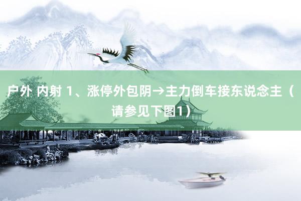户外 内射 1、涨停外包阴→主力倒车接东说念主(请参见下图1)