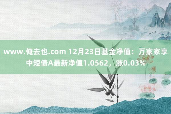 www.俺去也.com 12月23日基金净值：万家家享中短债A最新净值1.0562，涨0.03%