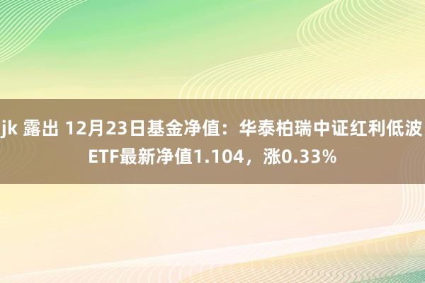 jk 露出 12月23日基金净值：华泰柏瑞中证红利低波ETF最新净值1.104，涨0.33%