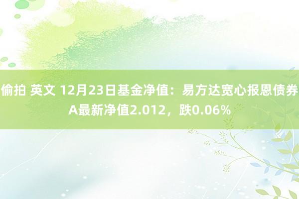 偷拍 英文 12月23日基金净值：易方达宽心报恩债券A最新净值2.012，跌0.06%
