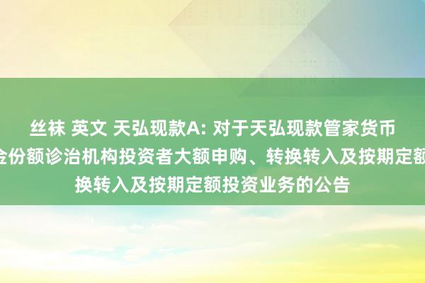 丝袜 英文 天弘现款A: 对于天弘现款管家货币商场基金A类基金份额诊治机构投资者大额申购、转换转入及按期定额投资业务的公告