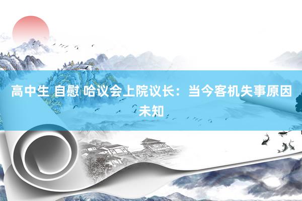 高中生 自慰 哈议会上院议长：当今客机失事原因未知