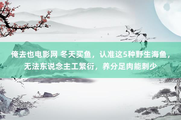 俺去也电影网 冬天买鱼，认准这5种野生海鱼，无法东说念主工繁衍，养分足肉能刺少