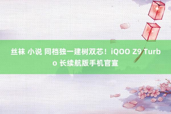 丝袜 小说 同档独一建树双芯！iQOO Z9 Turbo 长续航版手机官宣