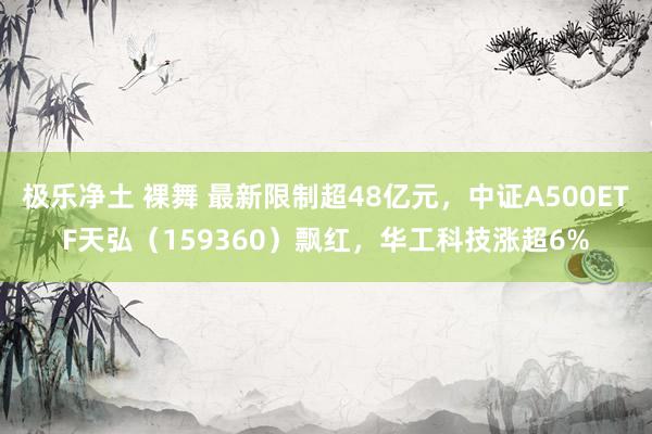 极乐净土 裸舞 最新限制超48亿元，中证A500ETF天弘（159360）飘红，华工科技涨超6%