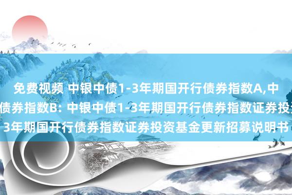 免费视频 中银中债1-3年期国开行债券指数A,中银中债1-3年期国开行债券指数B: 中银中债1-3年期国开行债券指数证券投资基金更新招募说明书