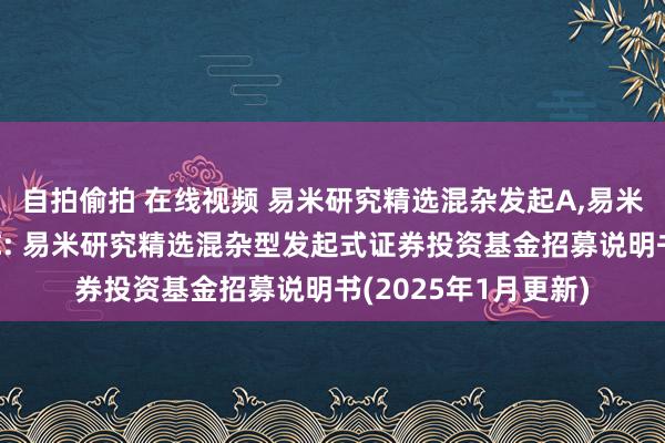 自拍偷拍 在线视频 易米研究精选混杂发起A，易米研究精选混杂发起C: 易米研究精选混杂型发起式证券投资基金招募说明书(2025年1月更新)