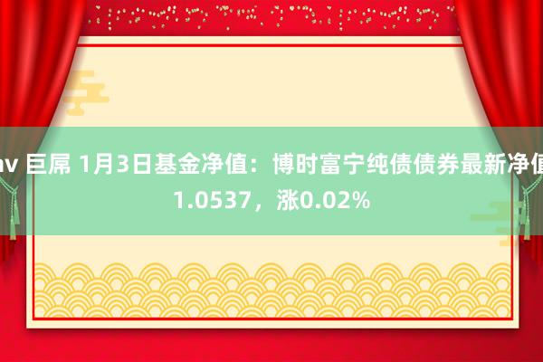 av 巨屌 1月3日基金净值：博时富宁纯债债券最新净值1.0537，涨0.02%