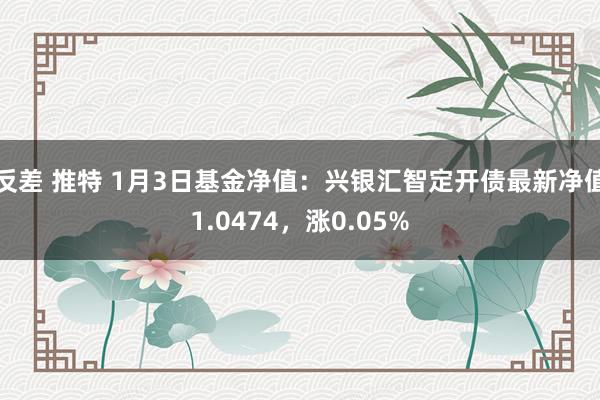 反差 推特 1月3日基金净值：兴银汇智定开债最新净值1.0474，涨0.05%