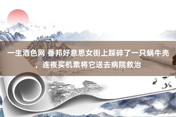 一生酒色网 番邦好意思女街上踩碎了一只蜗牛壳，连夜买机票将它送去病院救治
