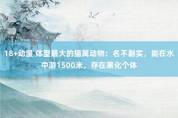 18+动漫 体型最大的猫属动物：名不副实，能在水中游1500米，存在黑化个体