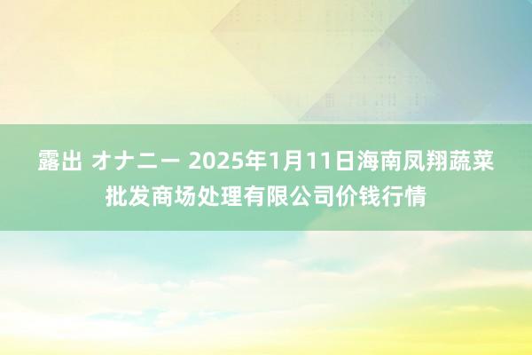 露出 オナニー 2025年1月11日海南凤翔蔬菜批发商场处理有限公司价钱行情