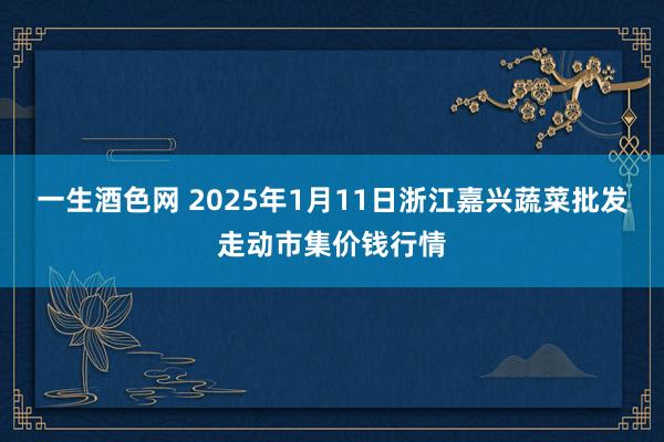 一生酒色网 2025年1月11日浙江嘉兴蔬菜批发走动市集价钱行情