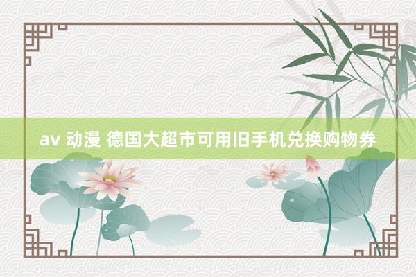 av 动漫 德国大超市可用旧手机兑换购物券