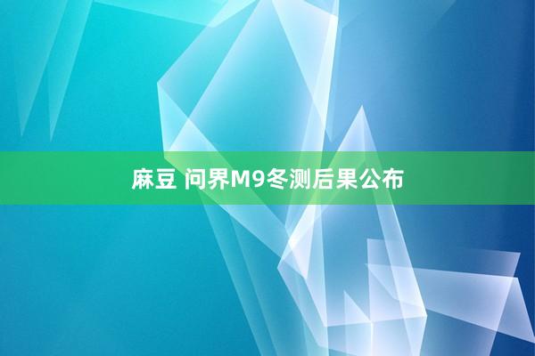 麻豆 问界M9冬测后果公布