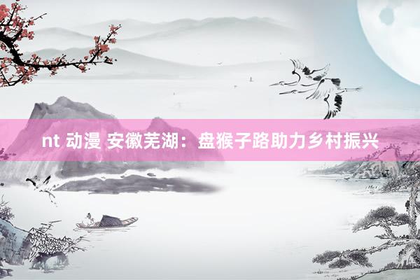 nt 动漫 安徽芜湖：盘猴子路助力乡村振兴